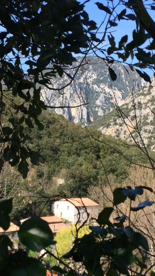 Aude Escape Bed & Breakfast Saint-Martin-Lys Exterior foto